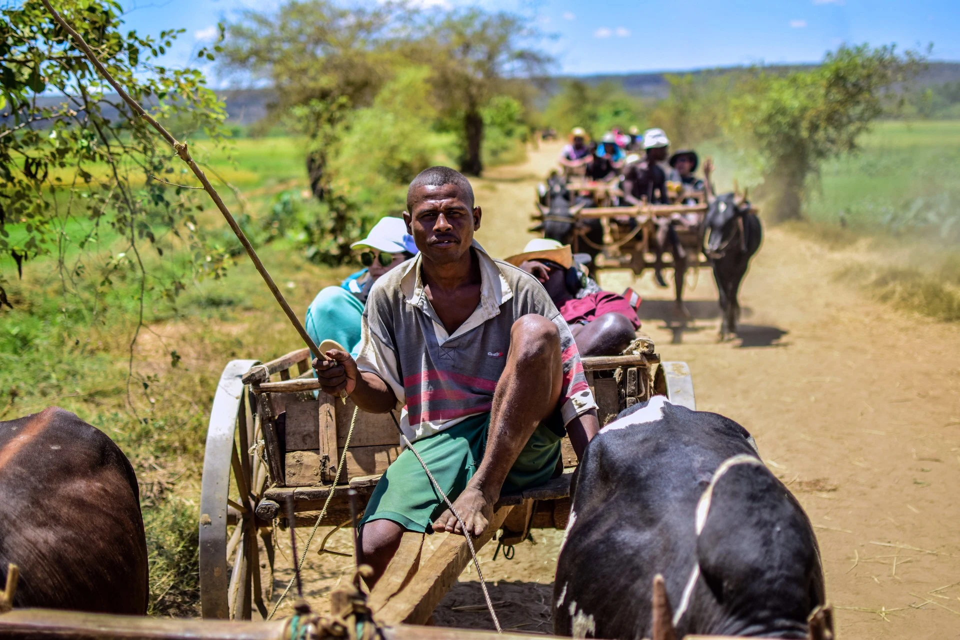Madagaskar für Individualreisende