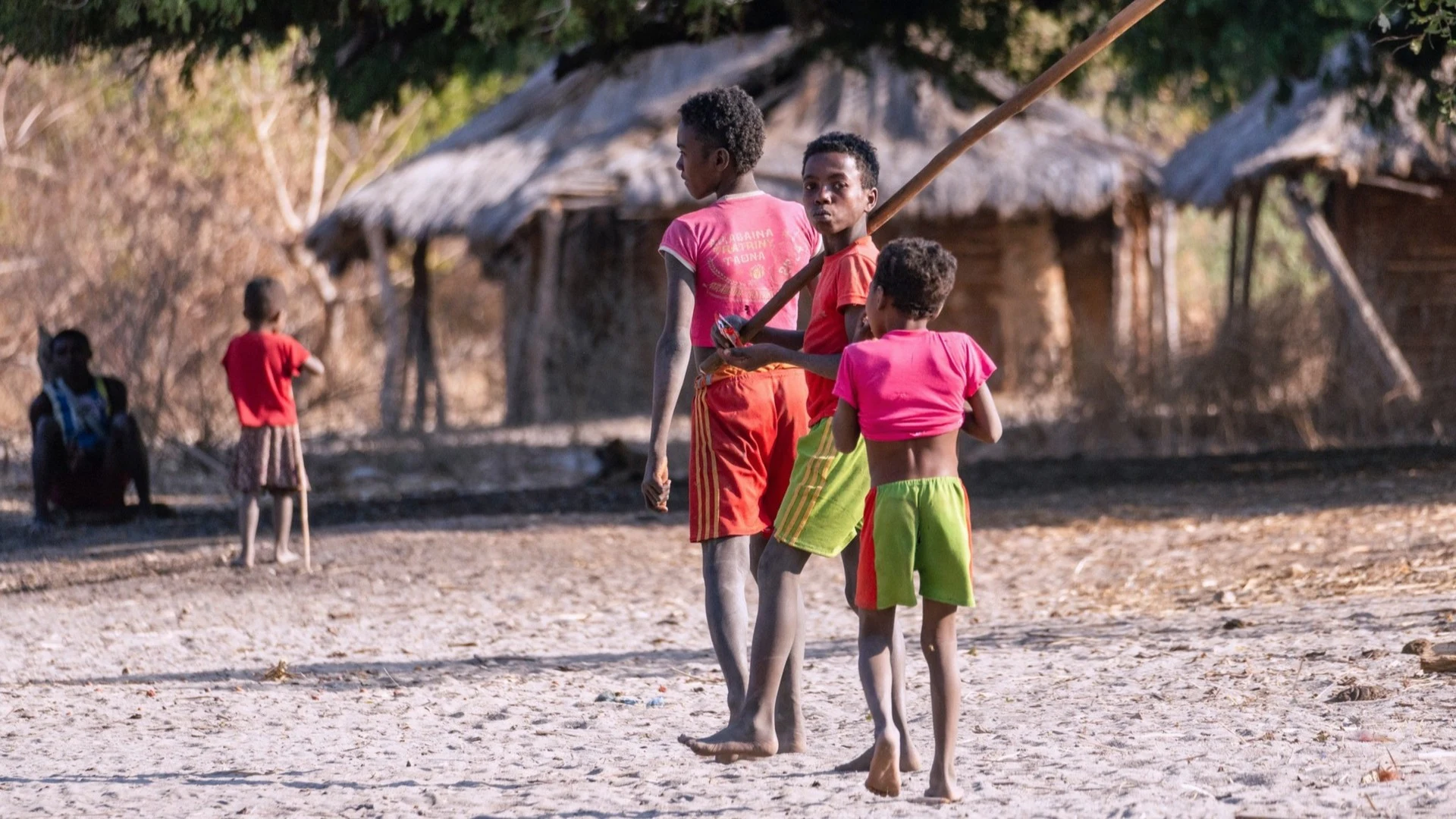 Madagascar Facts: An Overview of the Island’s Geography & Culture — photo 1