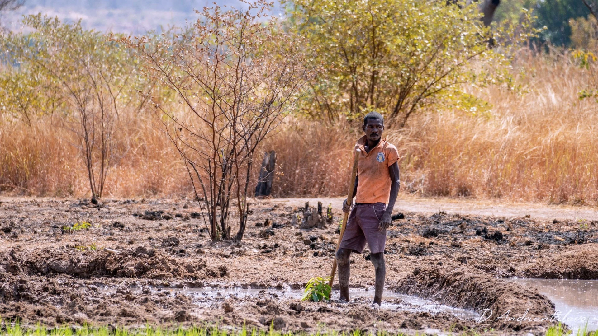 Madagascar Facts: An Overview of the Island’s Geography & Culture — photo 4