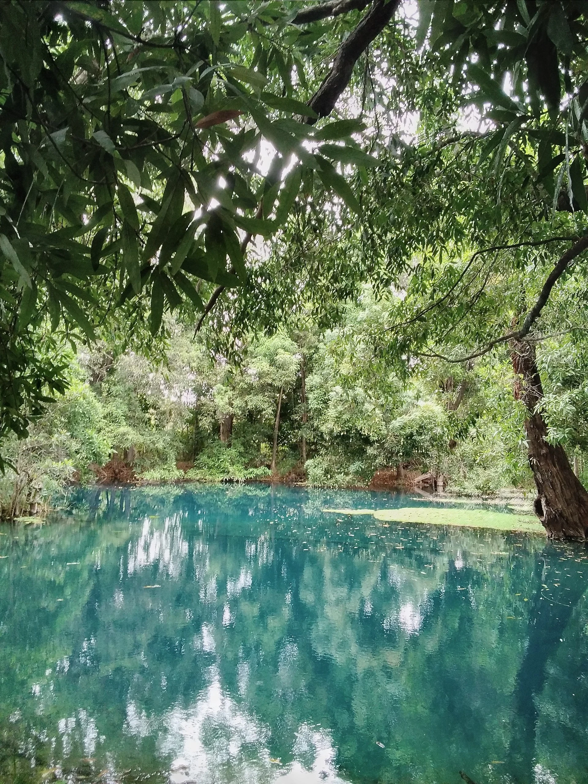 Namoroka Tsingy Camp