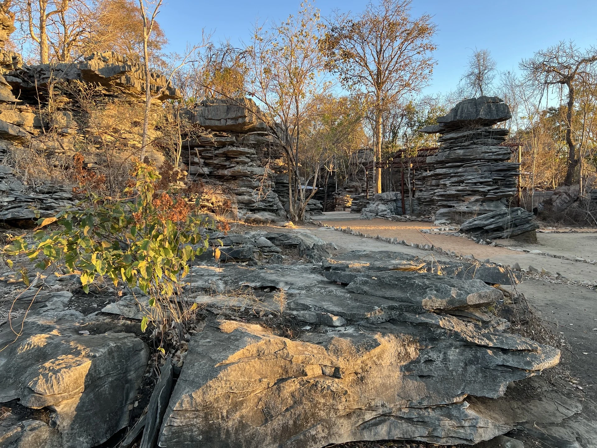Namoroka Tsingy Camp