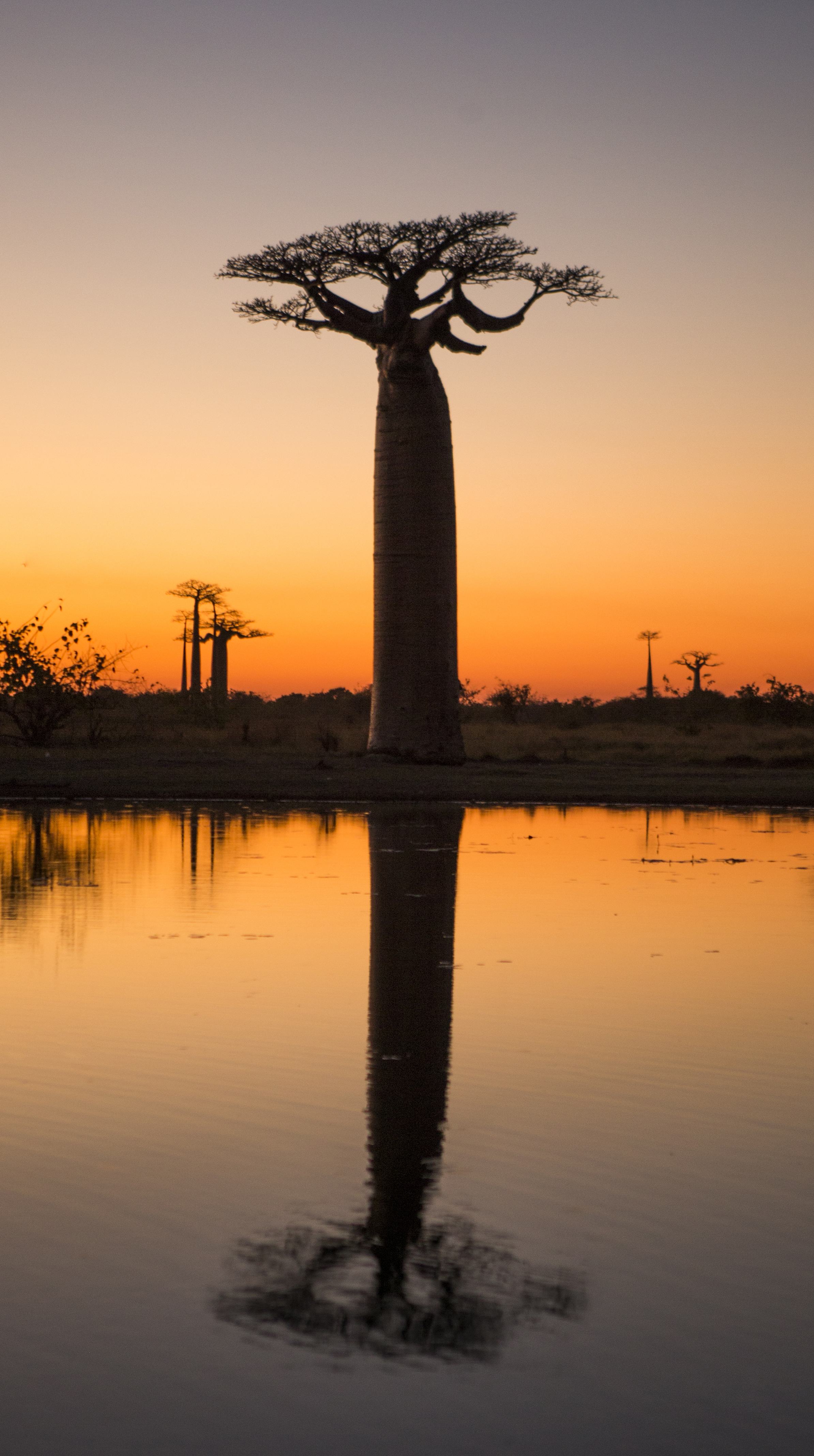 Madagascar