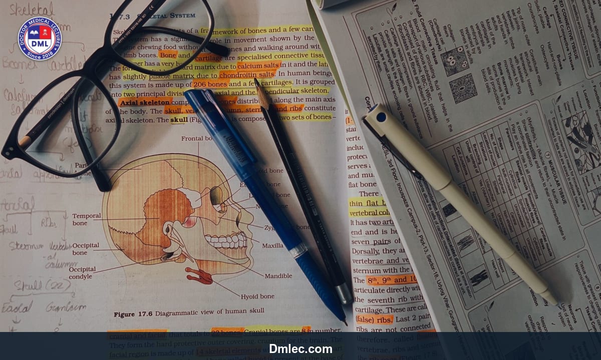 Medical student reviewing notes and documents at library desk