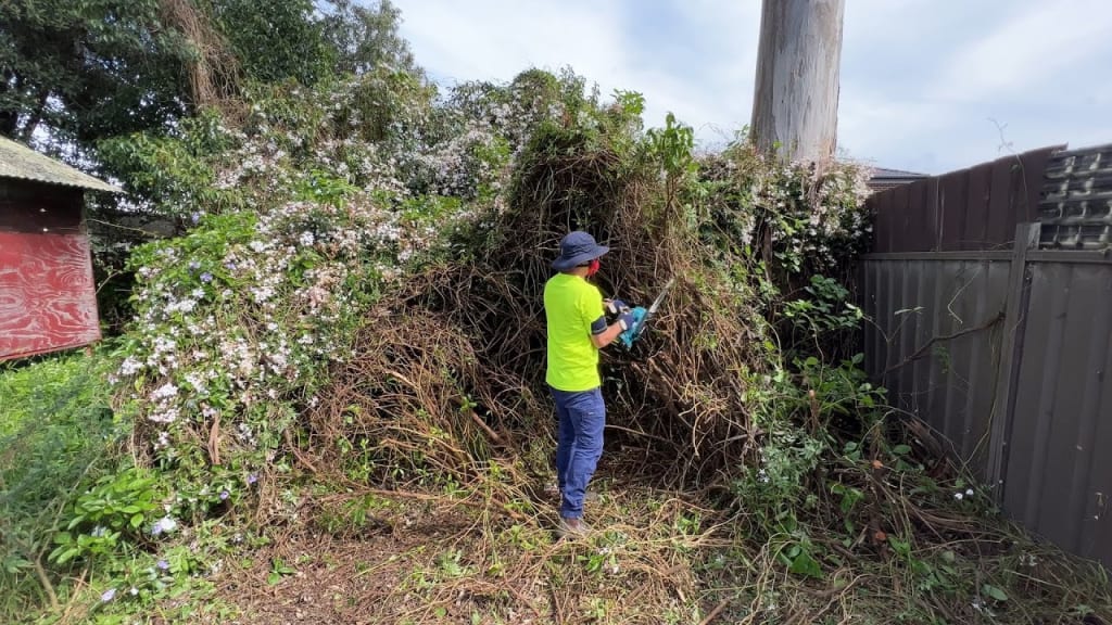 Clean Up the Fence Area