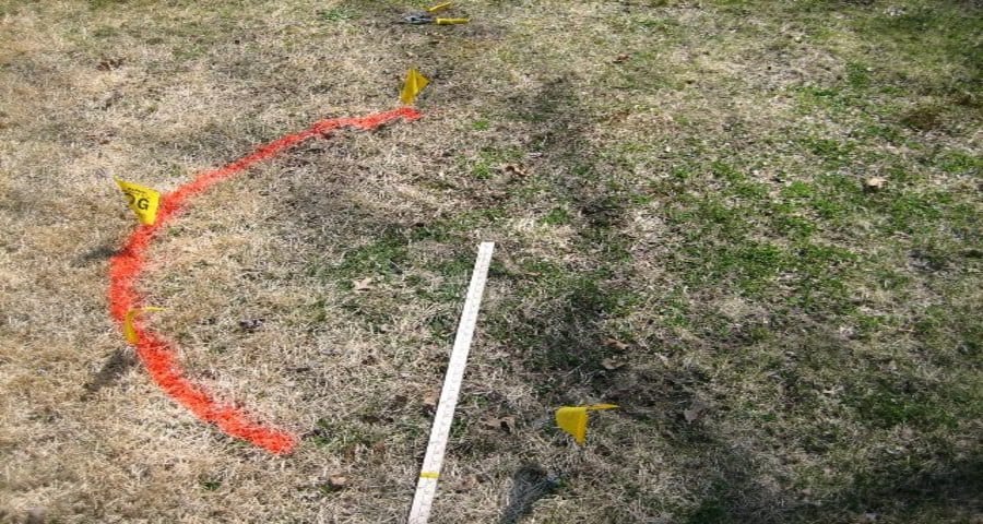Measure the distance to the tree
