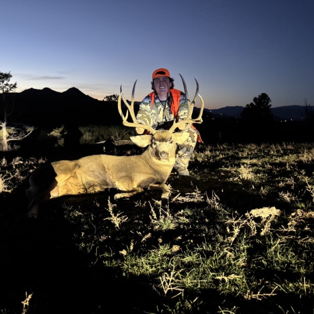 Dominic Guerriero's profile photo