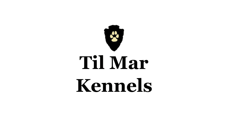 Til Mar Kennels