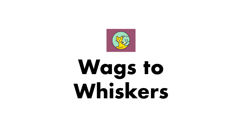 Wags to Whiskers