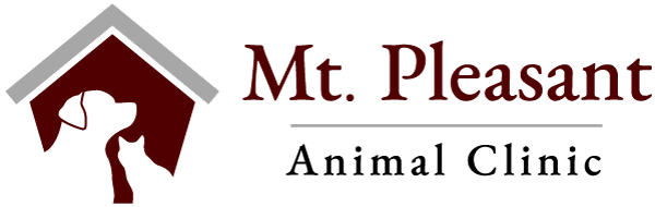 Mt Pleasant Pet Resort