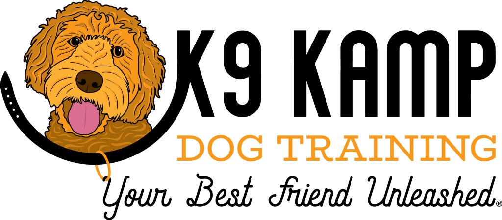 K9 Kamp Dog Training