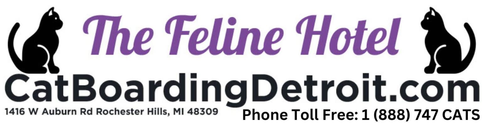 The Feline Hotel & Zen Cat Grooming Spa