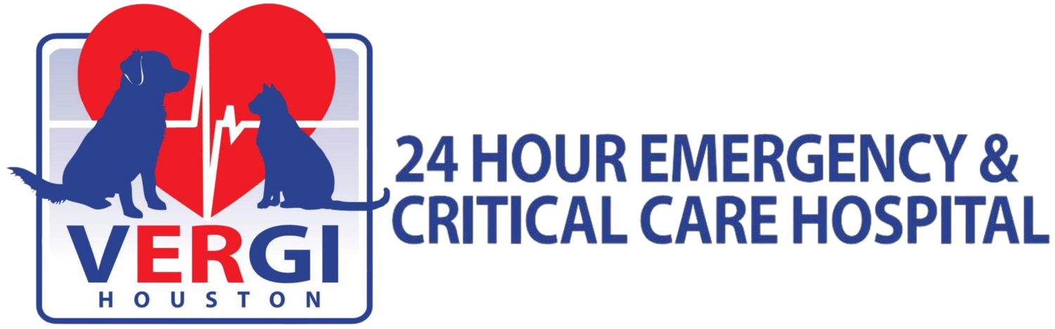 VERGI 24/7 Emergency & Critical Care Hospital