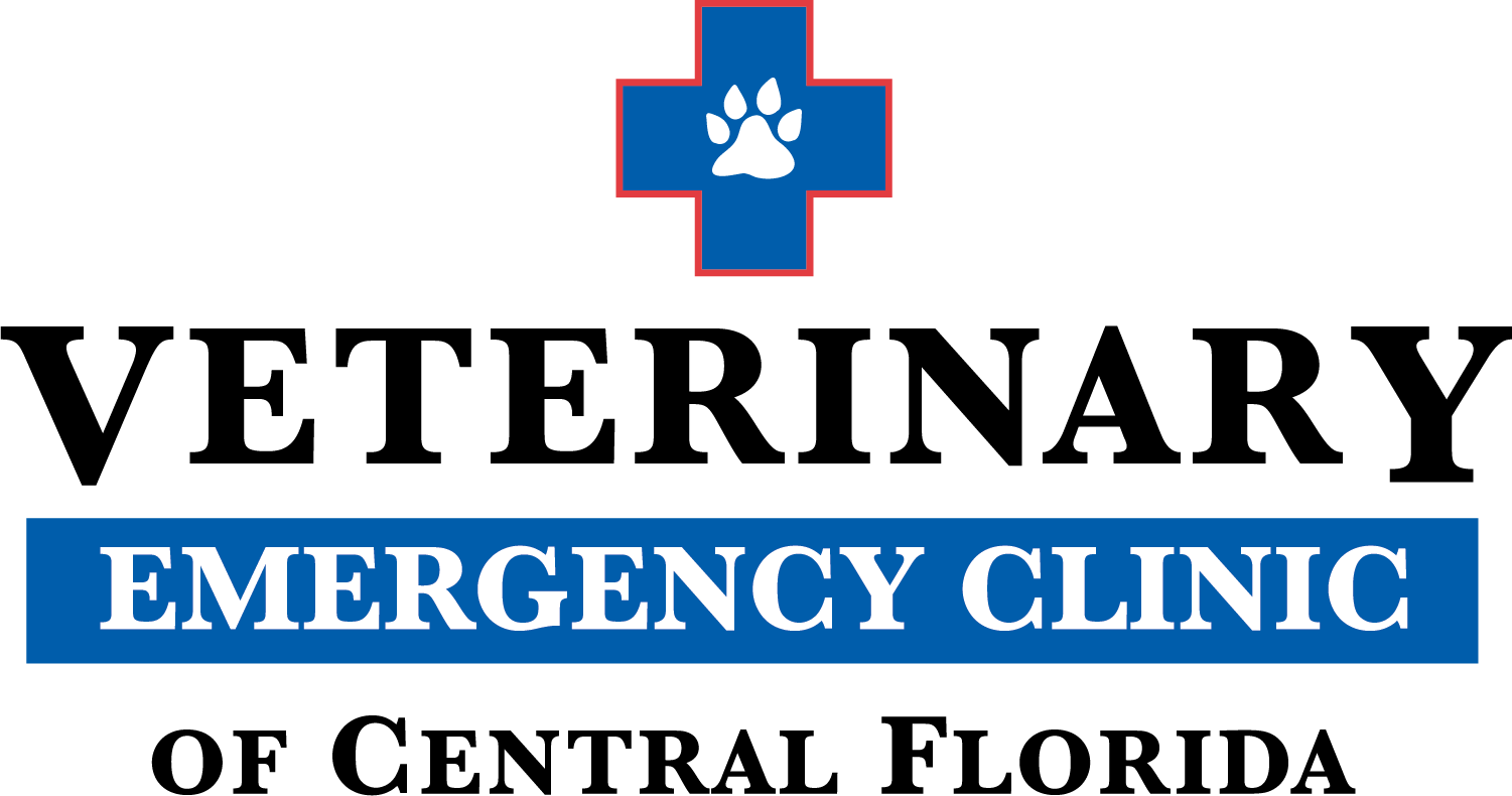 Veterinary Emergency Clinic of Central Florida