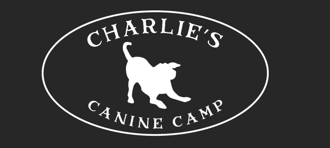 Charlie's Canine Camp