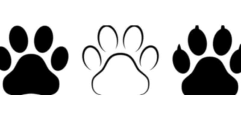 Pet Hospitality - Dog Kennel in Shorewood, WI