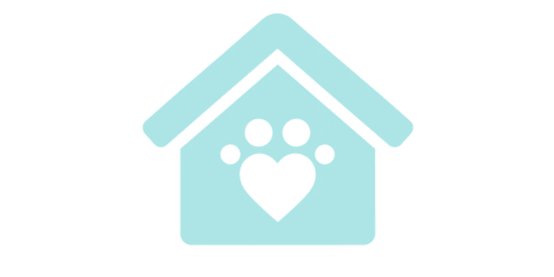 Sumter Pet Sitters