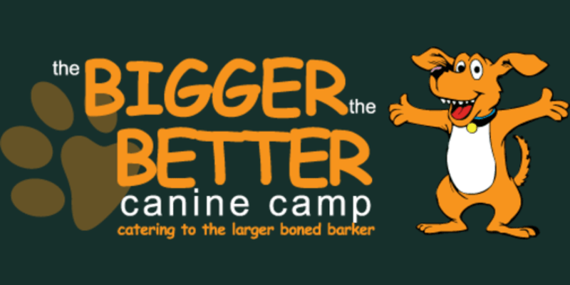 The Bigger The Better Canine Camp