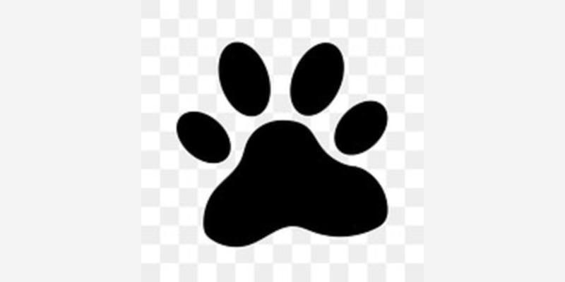 Tyger River Pet Resort LLC