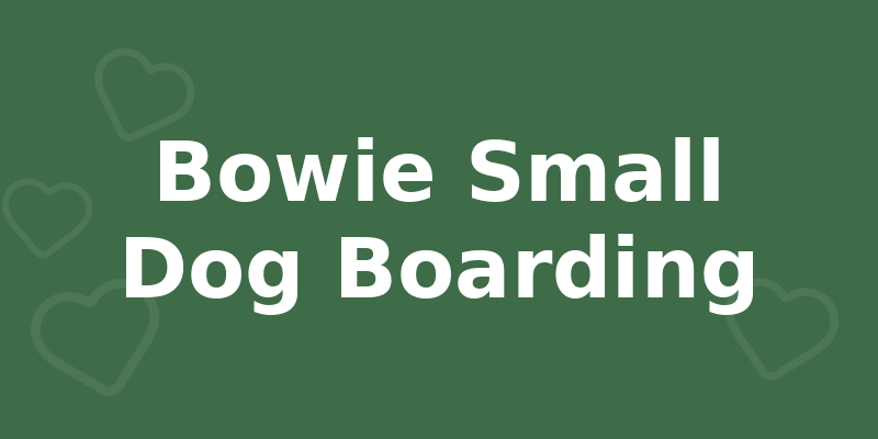 Bowie Small Dog Boarding