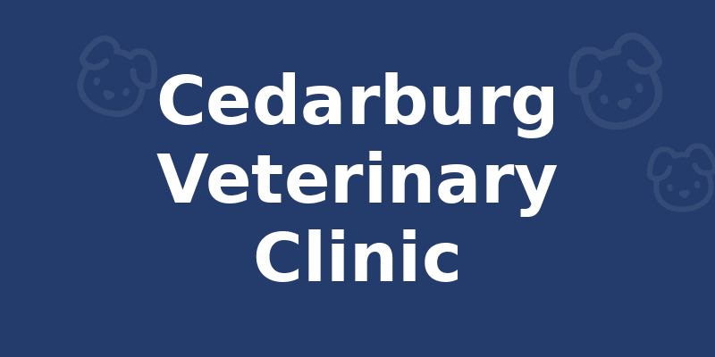 Cedarburg Veterinary Clinic - Dog Kennel in Cedarburg, WI