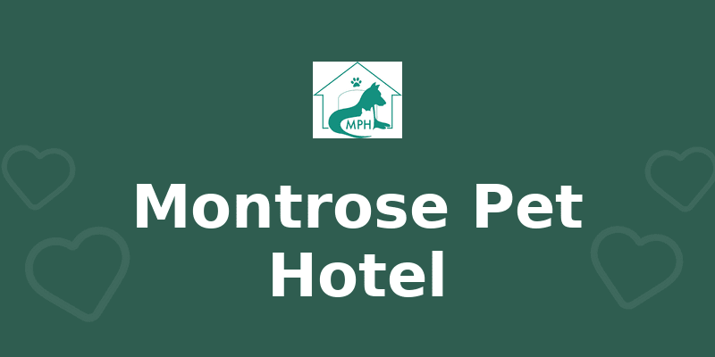 Montrose Pet Hotel