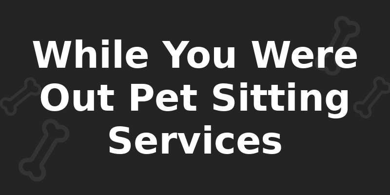 While You Were Out Pet Sitting Services - Dog Kennel in Milwaukee, WI