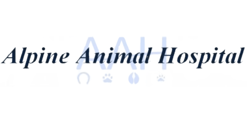 Alpine Animal Hospital - Dog Kennel in Laramie, WY
