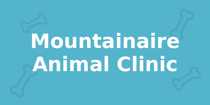 Mountainaire Animal Clinic