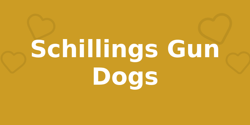 Schillings Gun Dogs