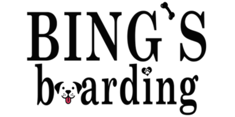 Bing's Boarding