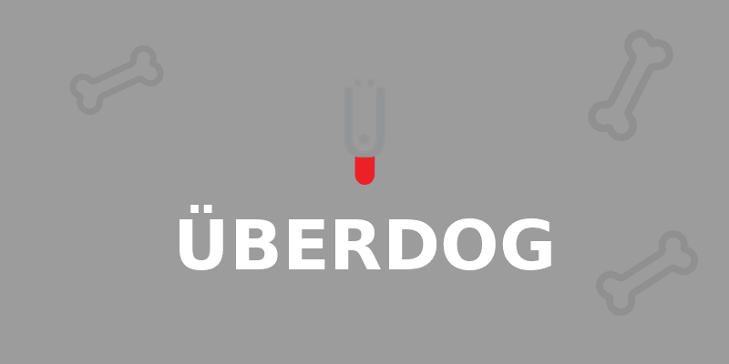 ÜBERDOG - Dog Kennel in West Hartford, CT