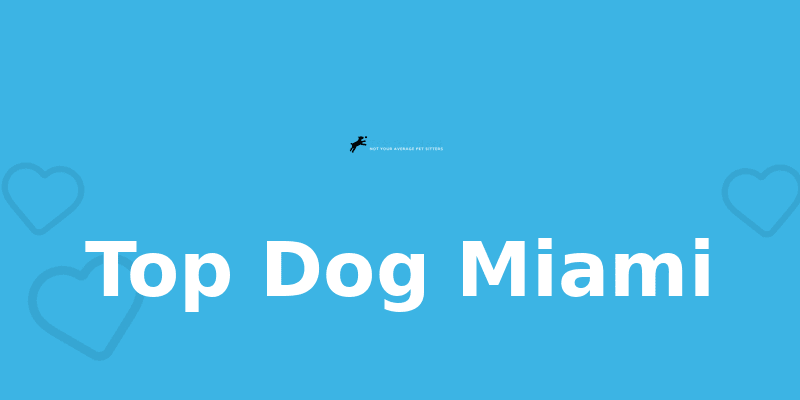Top Dog Miami - Dog Kennel in Miami Beach, FL