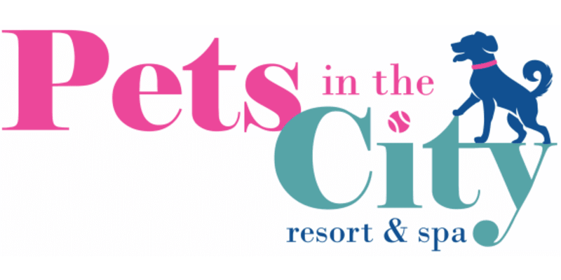 Pets in the City