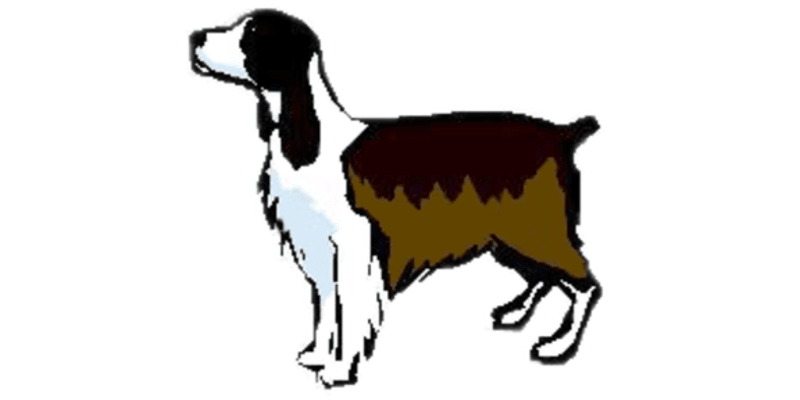 Doggone Nuts! LLC