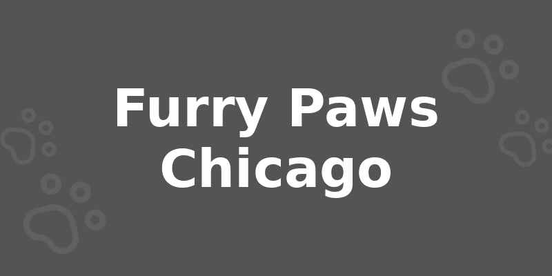 Furry Paws Chicago