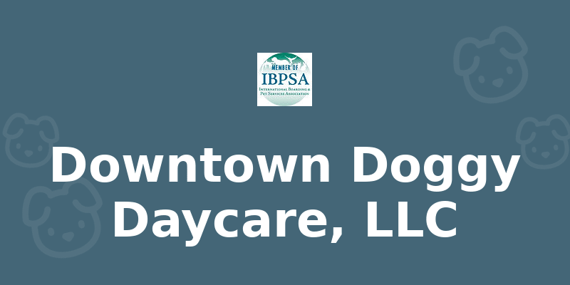 Downtown Doggy Daycare, LLC