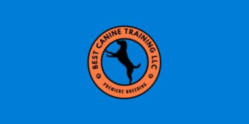 Best Canine Training LLC