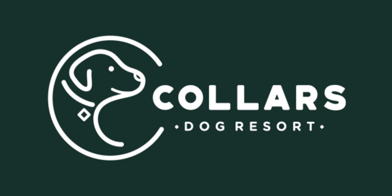 Collars Dog Resort Olathe