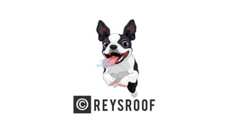 Rey's Roof LLC