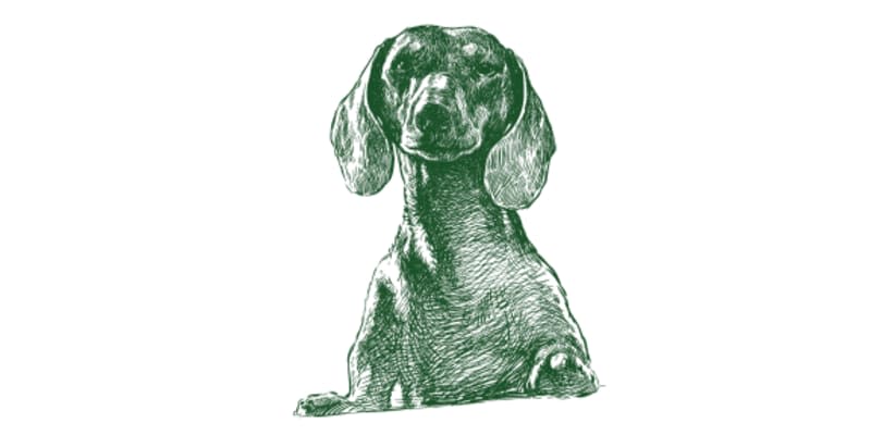 Fork Veterinary Hospital, Inc