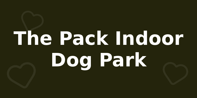 The Pack Indoor Dog Park