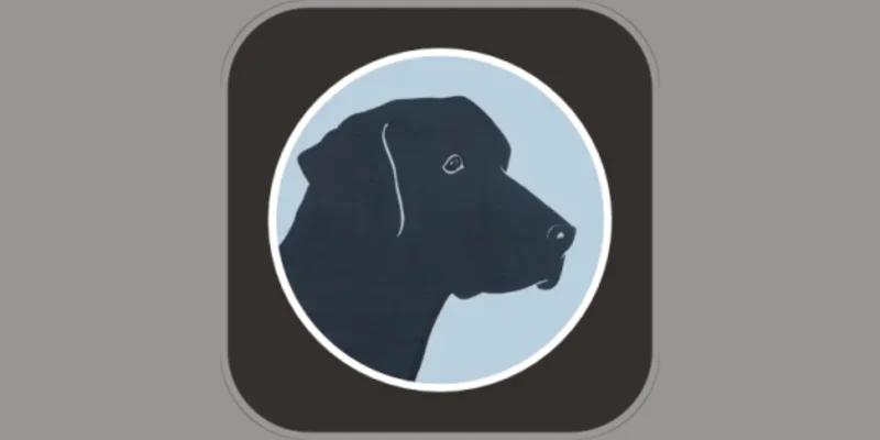 Trollgaard Dog Day Care