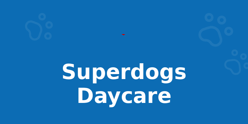 Superdogs Daycare