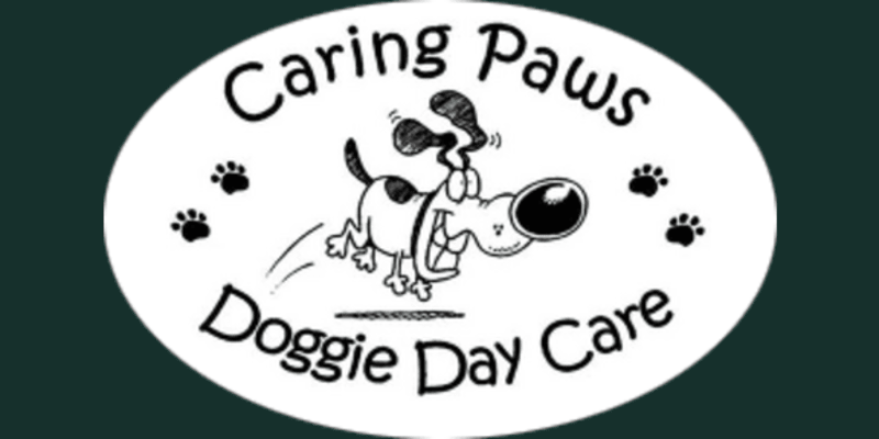 Caring Paws Doggie Day Care