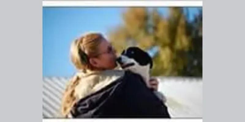Salt Mission Kennels