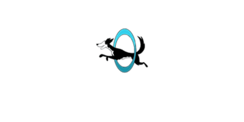 Cassidy Ingram Dog Training LLC