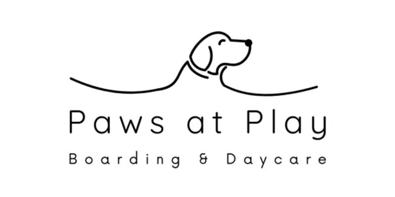 Paws at Play
