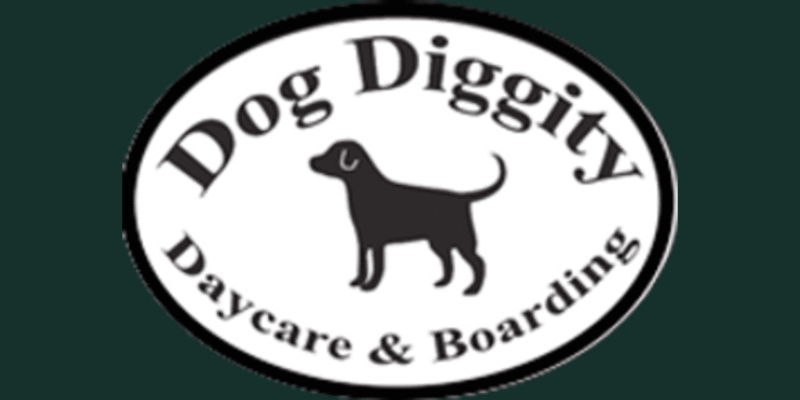 Dog Diggity Daycare