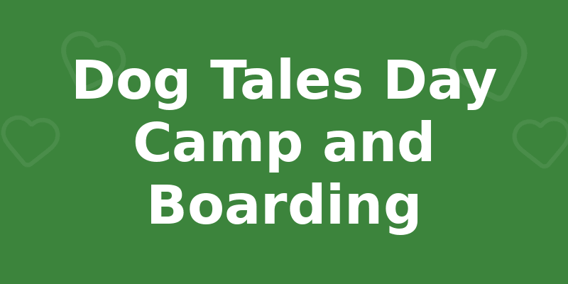 Dog Tales Day Camp and Boarding