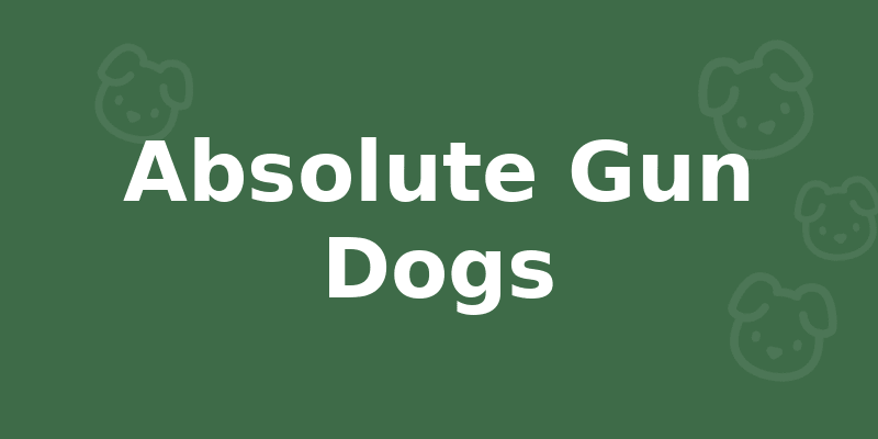 Absolute Gun Dogs